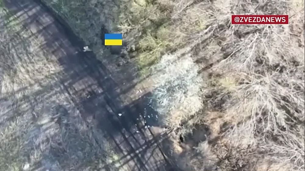 ���� �� �������: ������� ����� � ��� ���������� ����������