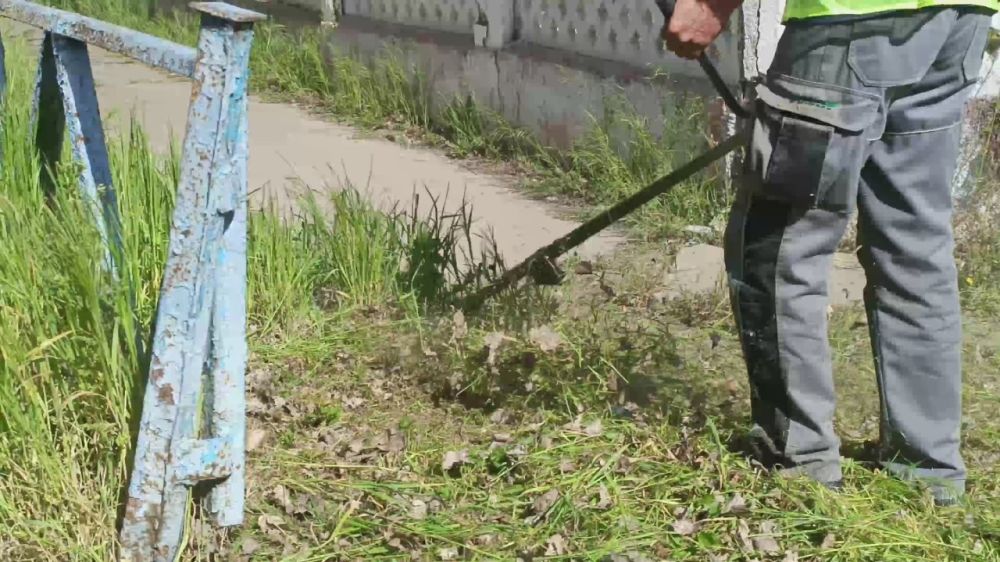 "������ �������" ��������������� ���������� �����