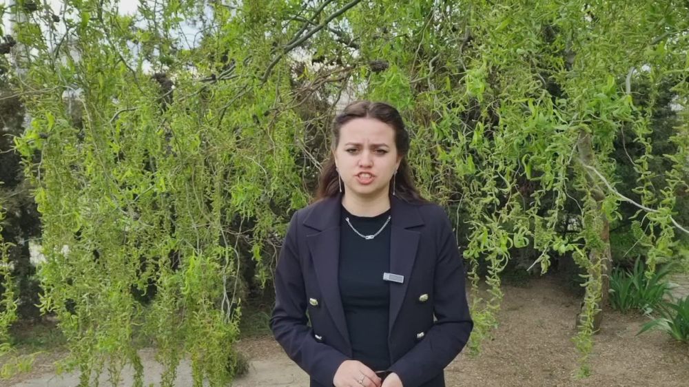 ���� ���������: �������� � �������: ���� ��� �� ����� ���� ����� ������ �������