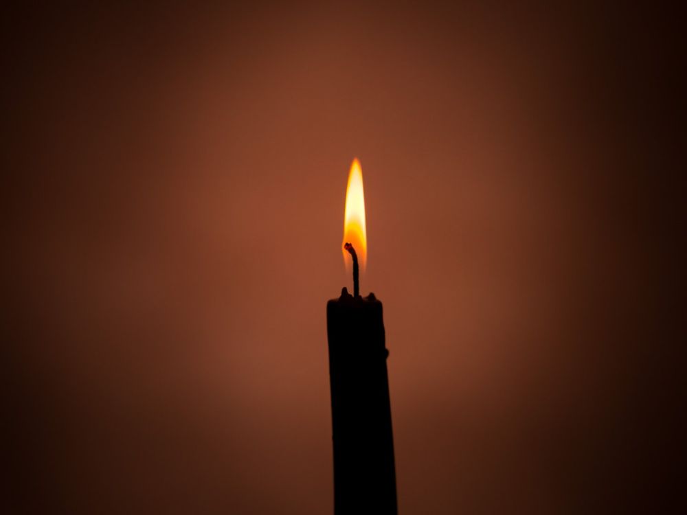 ������ ������������ ������ �������� ����������� ����� �� �������� ��-�� ���