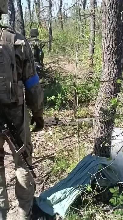 ������ ����� ������ ������ ��� ����� �� ������� �������