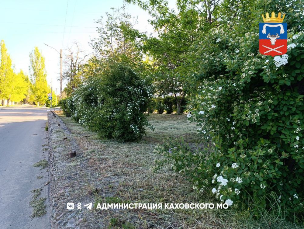 ������ ����, ������ ���������� �������������� ������!