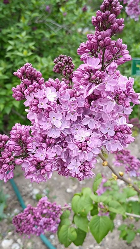 Ҹ���� ������� ����� ������ �������� ������, � � ������, ������� ������ ��������� ����� � ������ ���������