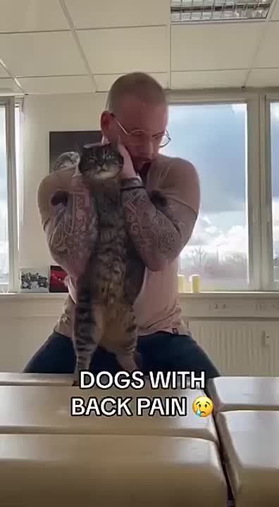 ������� ���� ����������.. ����������� ���� �������������� ���� ������ ��������� � �������� ��, ���� ��, �������� �� �����: ���������� ���� �� ������ � �����, �� � � ��������