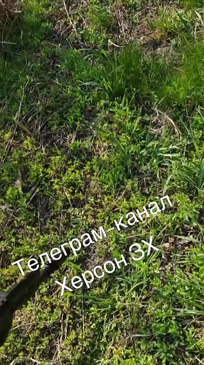 ����� � ������� ������ ����������� ������