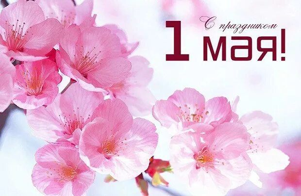 ������� ��������!. ����������� ��� � 1 ��� � ���������� ���������, ���������� � ��������! ����� ������ ����� ���� ����������� �� ������ ����, � ���� � ������ ������� �� �������� ���� ������! ��������������� ���� �������������