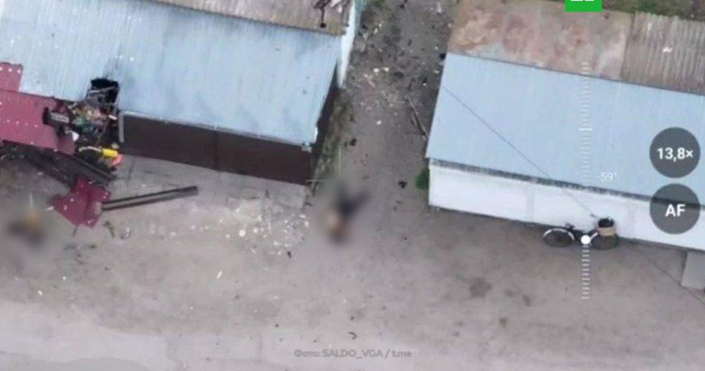 ���������� ����� ��������� ����� � ���������� �������: 7 ��������