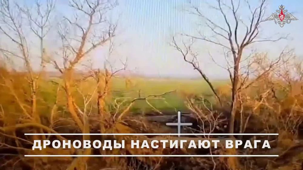 �������� �����: �������� ���� �� ������ ��������