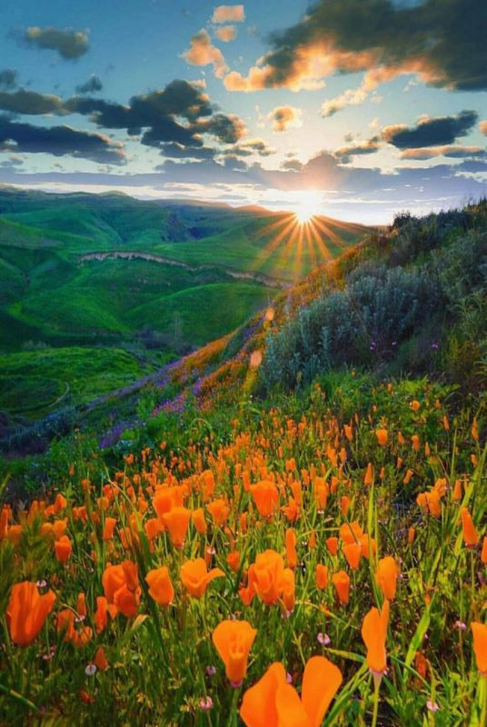 . �� ��� � ��� , ����� �������� , ������������ ��������