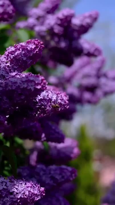 ������� �������: ����� ���������� � ������� ������� ��� ���������� �����, ����� ������� ����� � ������� ������ ������ ��������� ����� � ����� ������