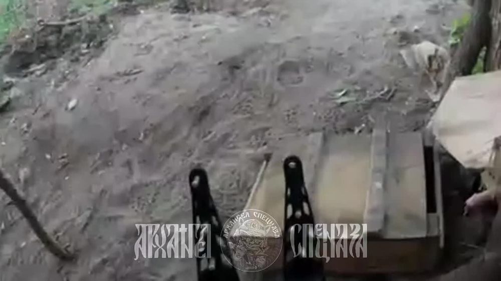 ���� �� �������: ���� �� �������, ��� �������� ���� - ��� ���, ��� ����� � 3� ������� �������� � ��� ����� ��������� � ������ ������� ���������� ���, �� �� ����������