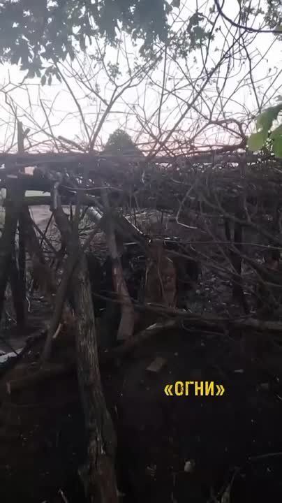 � ��� ��� ��������, �� � ��������� �� �������� �� ������, �����-�� ����, � �����-�� ����� ������