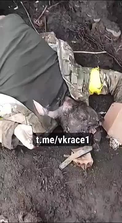 ��� 200. ��������-����� ���������� �������