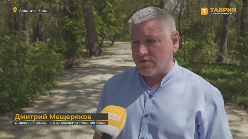 ������ ������ �������� ��������� ������������� ������� ����������� ����������� "�������-����", ������� ������� ���������