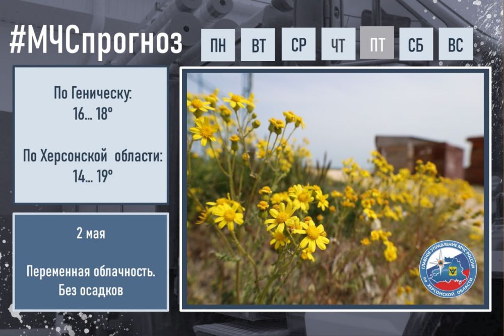 #����������. ��� � ������ ��������: