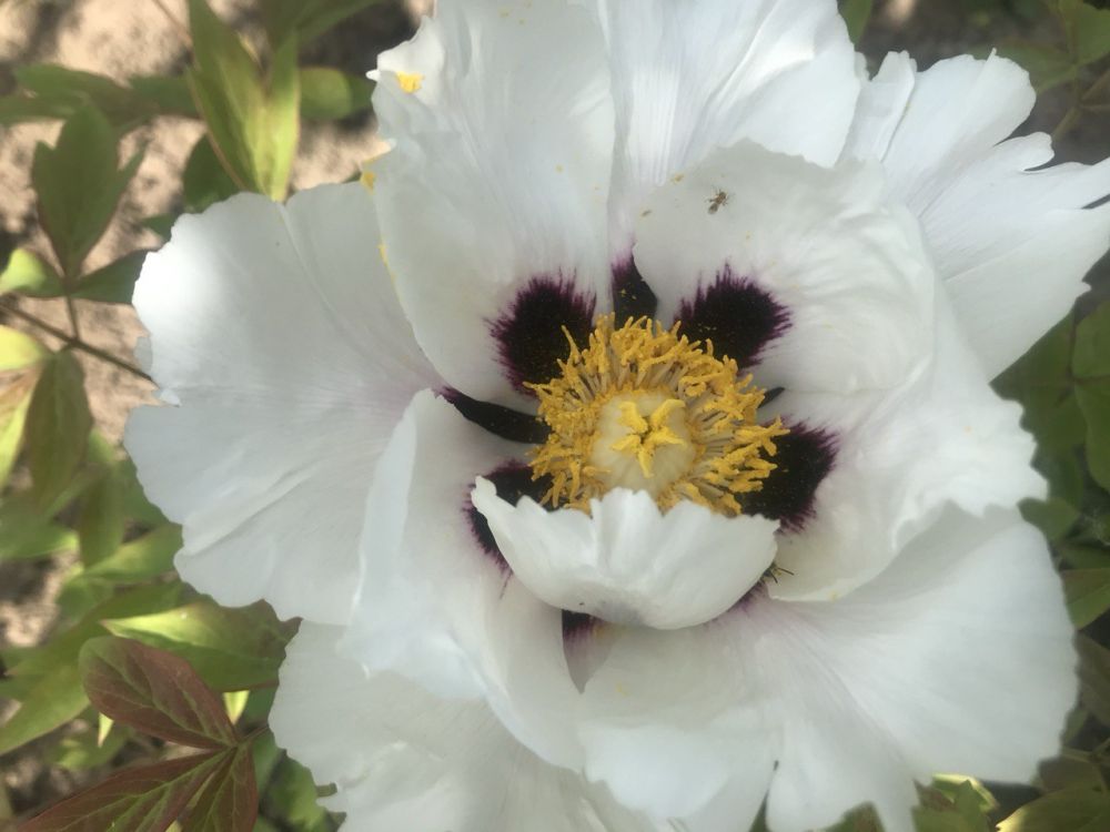 � ������ �����, �����������!