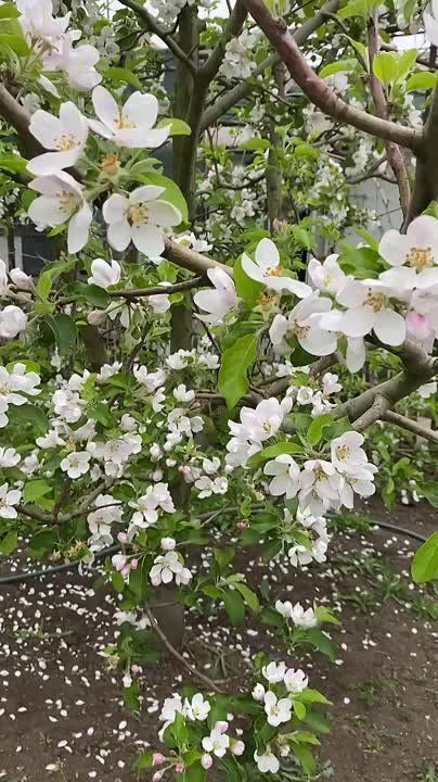 ������ ���� ����!. ������������� ��������! � ����������� ��������� ����������! sd_kakhovka.khogov.ru