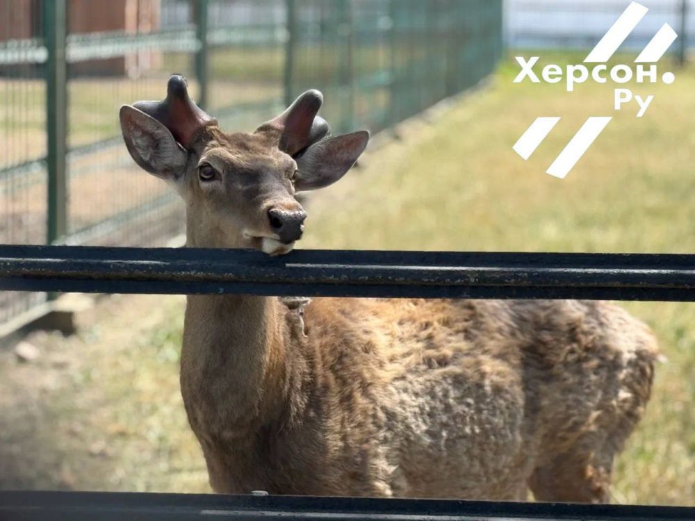 ��������-���� ������� ������������� �����!