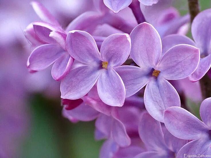 � ���������� ������� 3 ��� ������������ ��������� ������