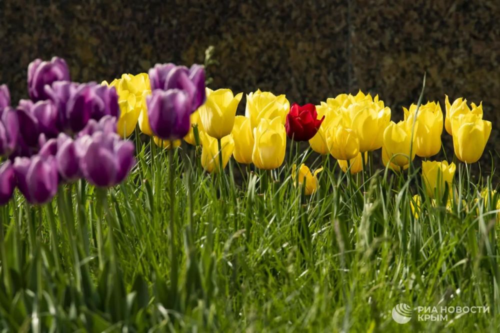 ������ �� ����� ����������� ������