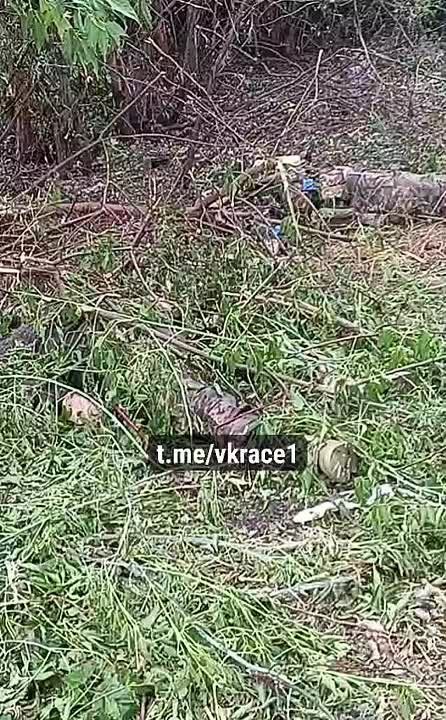 ��� 200. ��������-����� ���������� �������