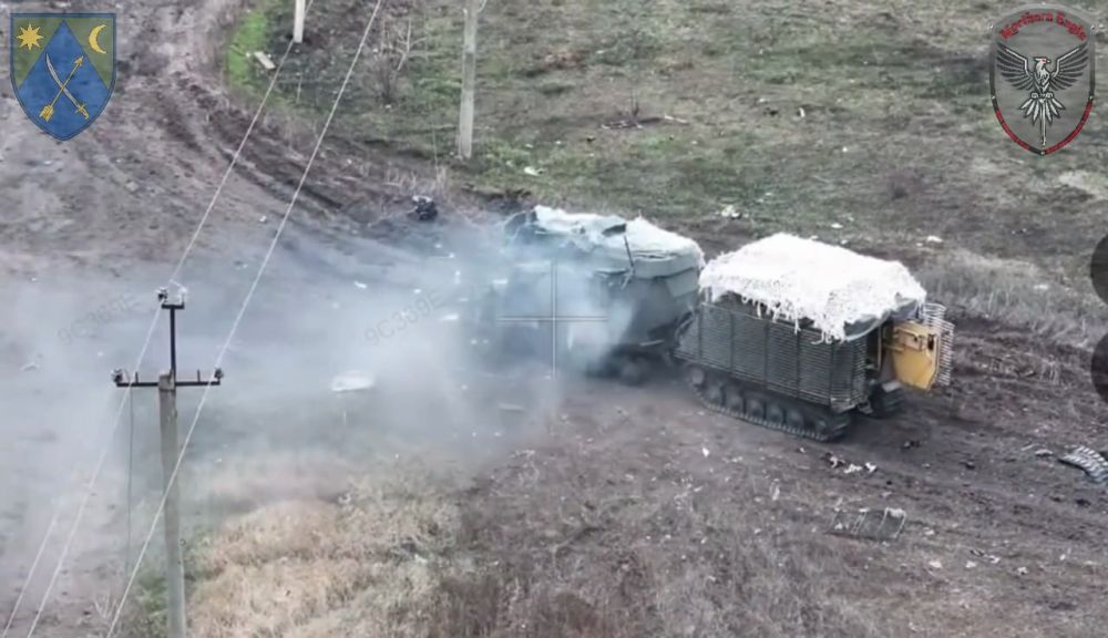 ���� �� �������: ������������ ��������� BvS 10 ��� � �������� �������