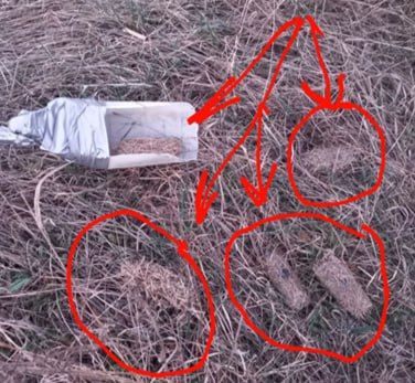 ����� ��� ������ ��������������� ��������, ��� �� ���������� �������� ���������, �� �����������, �� ��������� �������, ���������, ������, � ������ ��������� ��������� �������, � ����� �� ��������� ���� �������� ������...