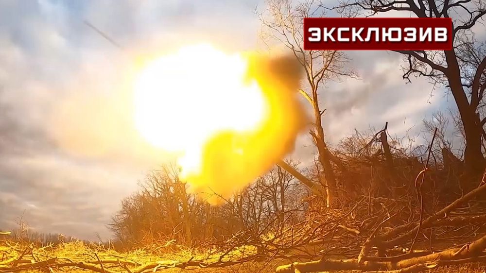 ������ �-20 ������� ��������� �� ������������ ����� ���������