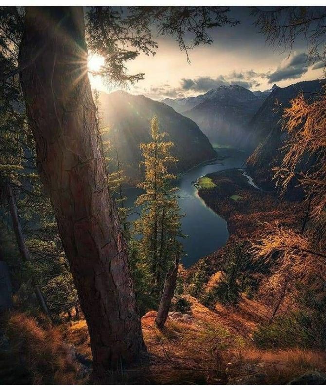 . ���� �������� � ������ , ���� �������� , �������� ����