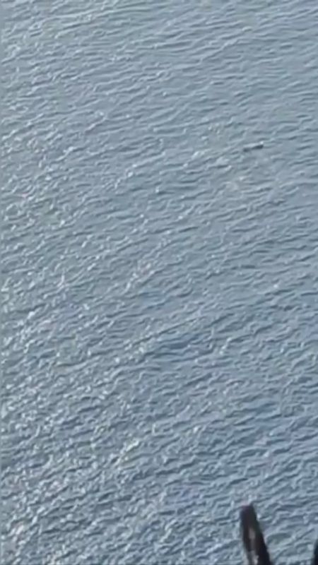 ����������� ������������ ������� � ������� �������� � ������� ����� � �����������