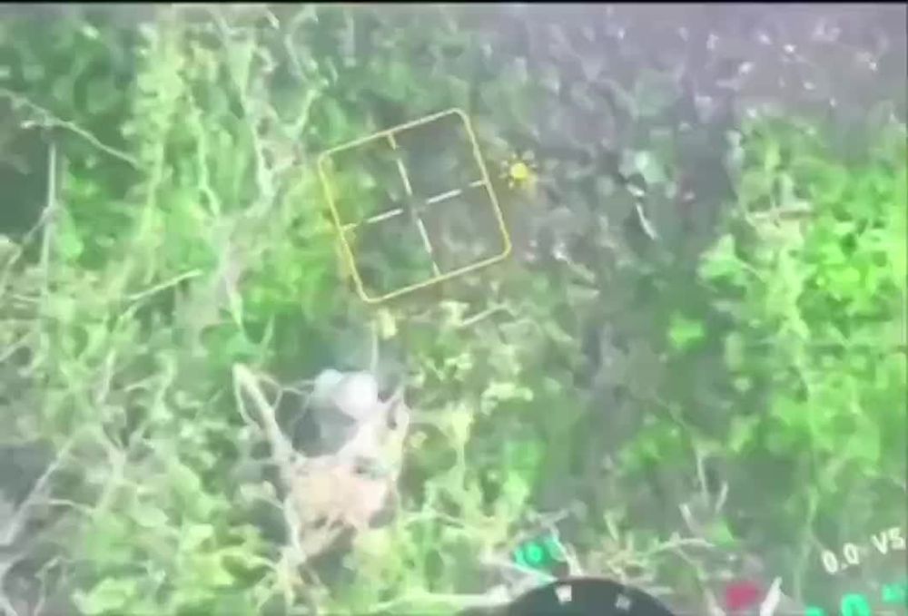 ������ ��������� � ������ �������� ������� � ���� �� ������