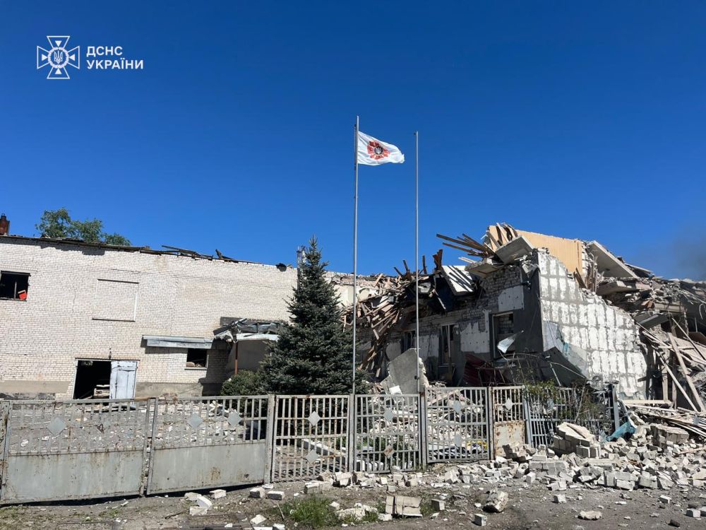 �������: ���� ������� ������ ���� ���������� (���) �� ������ ��������������� �������-������������ ����� ����