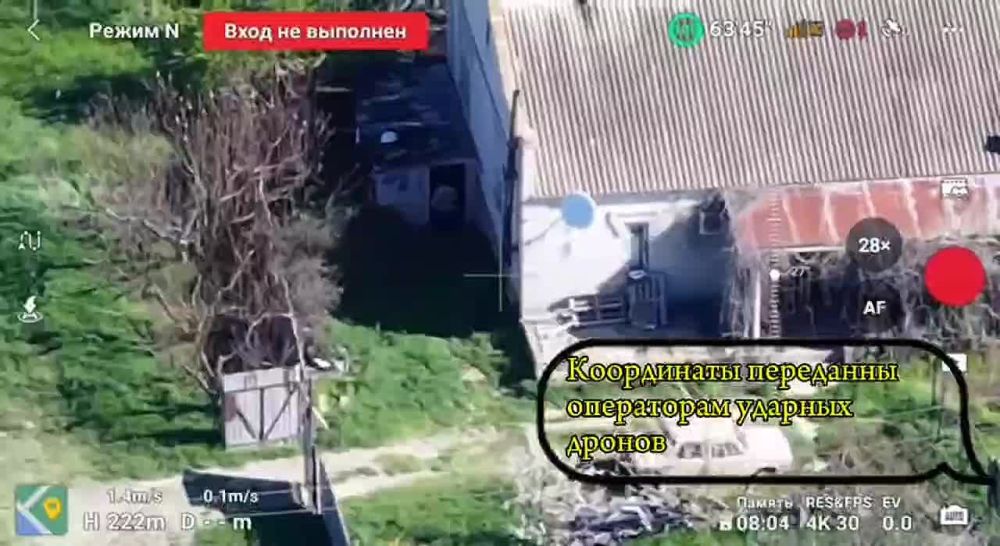 ��� ������: ���������� �����������. ������ �������� ���� 61-� ����������� �������