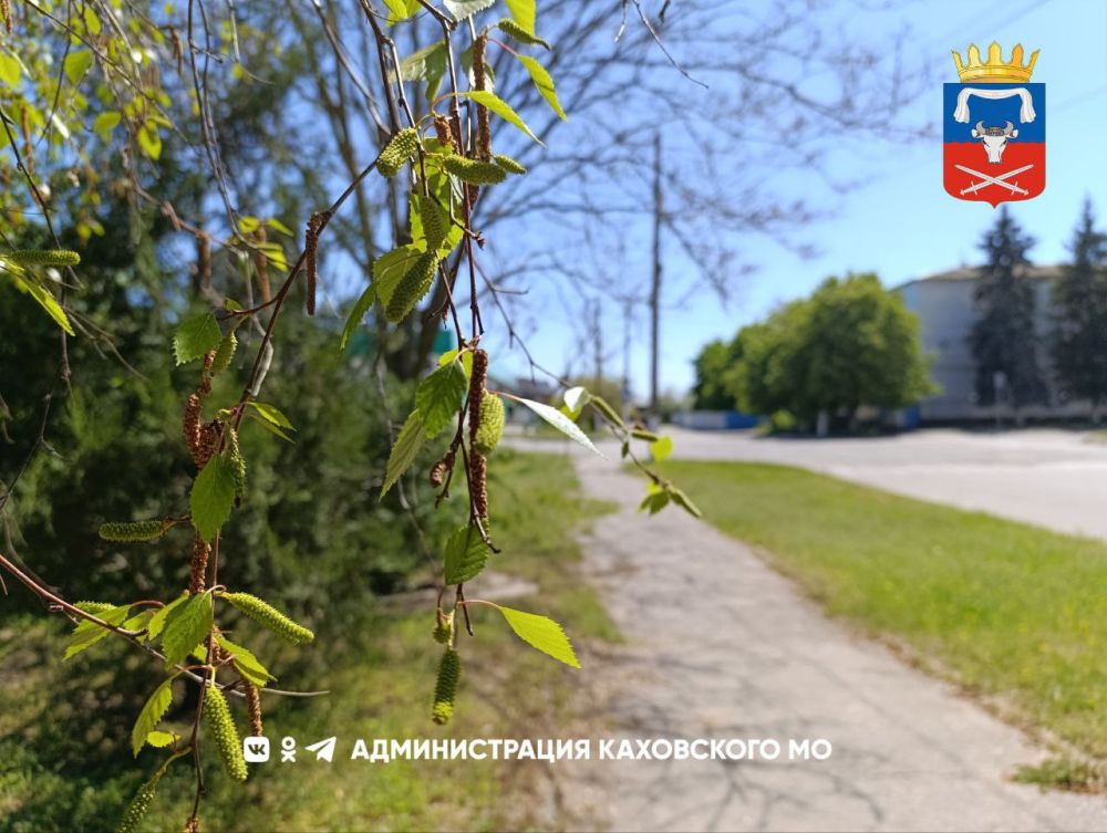 ������ ����, ������ ���������� �������������� ������!