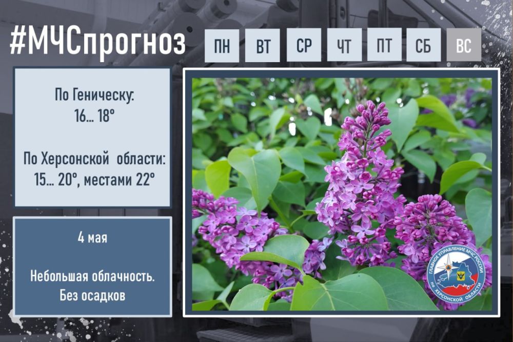 #����������. ��� � ������ ��������: