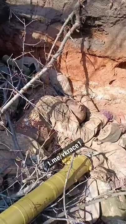 ��� 200. ��������-����� ���������� �������