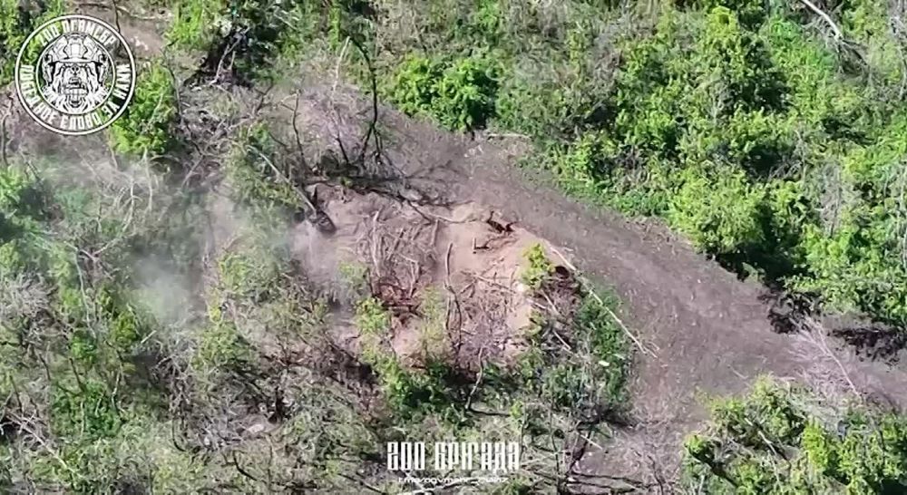 � ������ �� ����������. ������ ����������� ���� �������� ����� ���������� ���������� ���� ����������