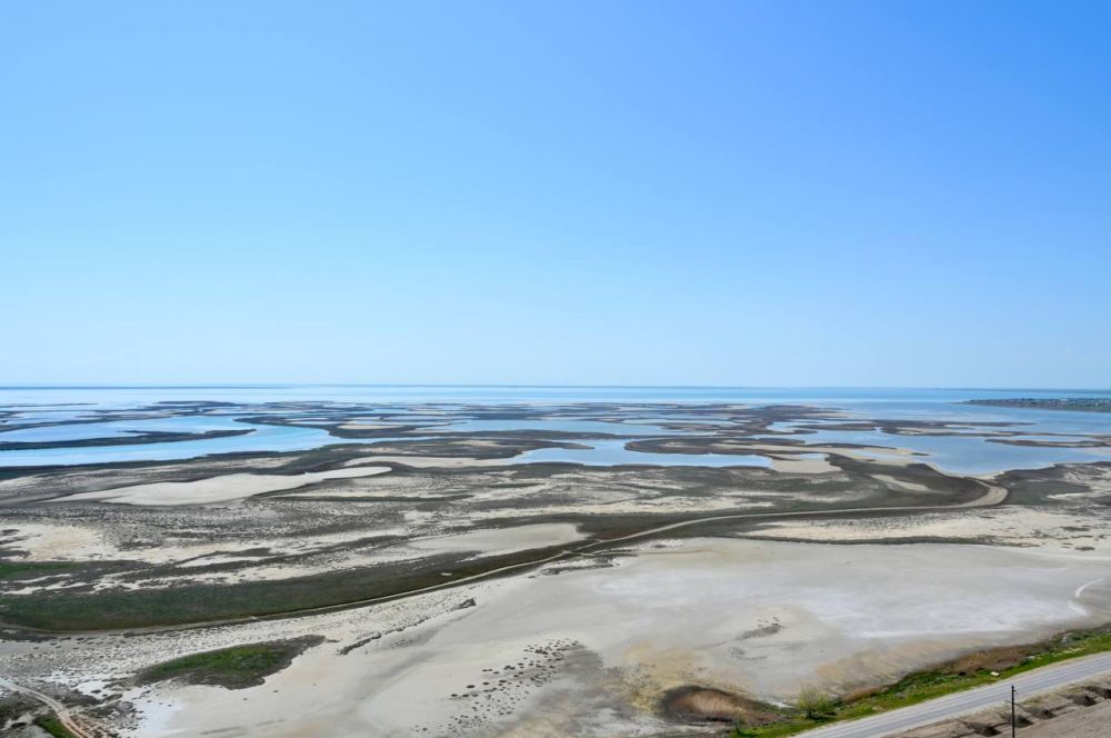 �������� ������: ��� ���� ������ � ����� ����� ���� � ���������, ��������� � ���������