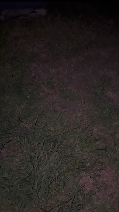 �������������� �������. ��������� ����������� ������������� ���������� ������ ���������� �����