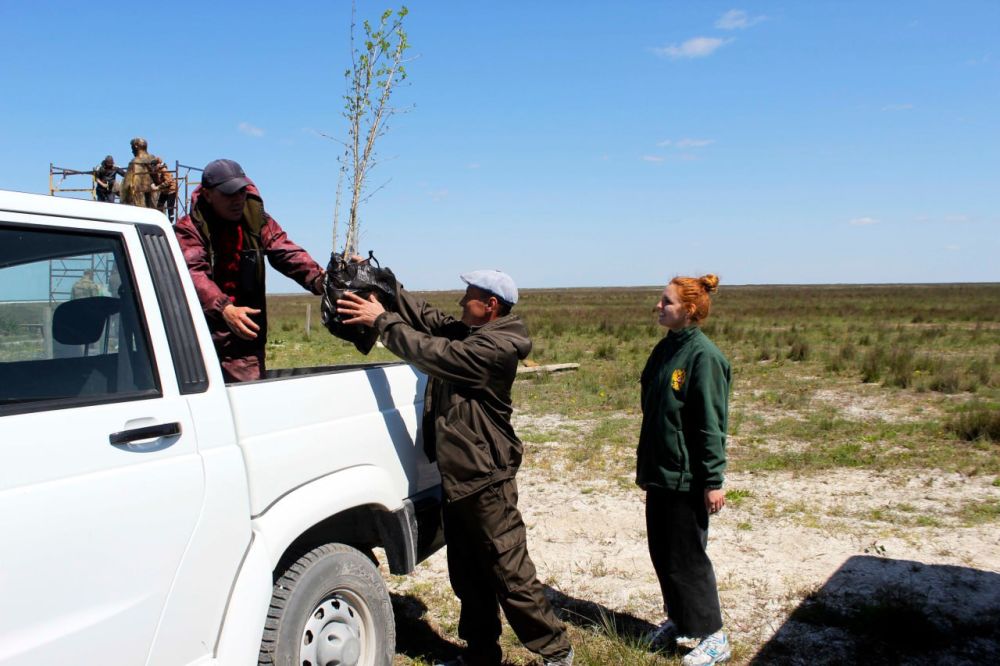 ���������� ����������� ������� ����� ���������� ��������� �������� ������� �������� ����������� ����������� �� ������� �������