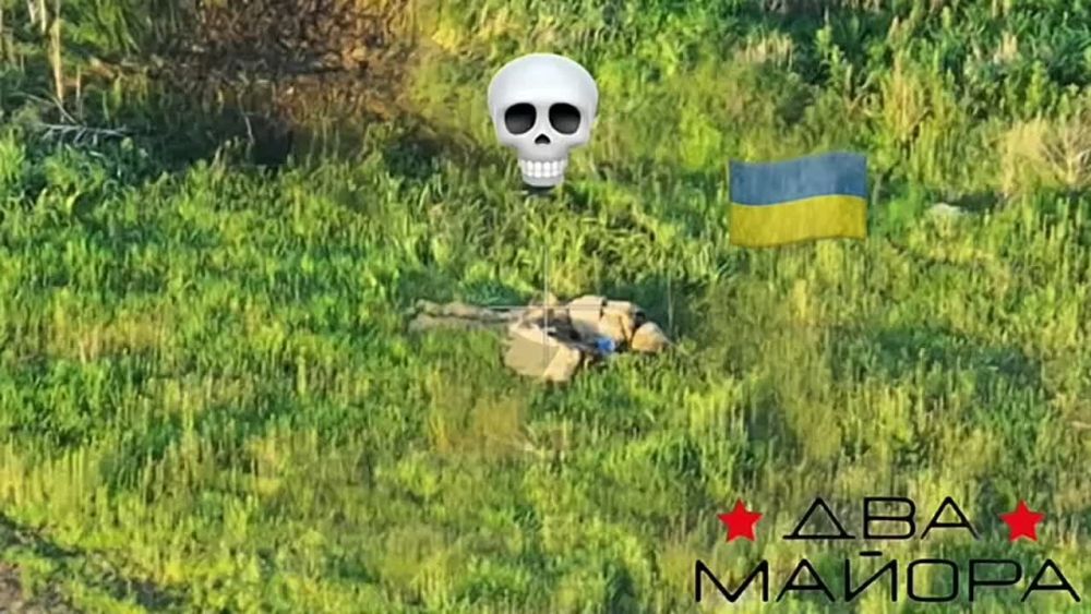 ��� ������: #������ �� ���� 4 ��� 2025 ����