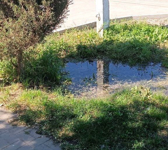 � ��������� ��������� ������ ����������� �� ��������� ����, �������� ����� ��������������