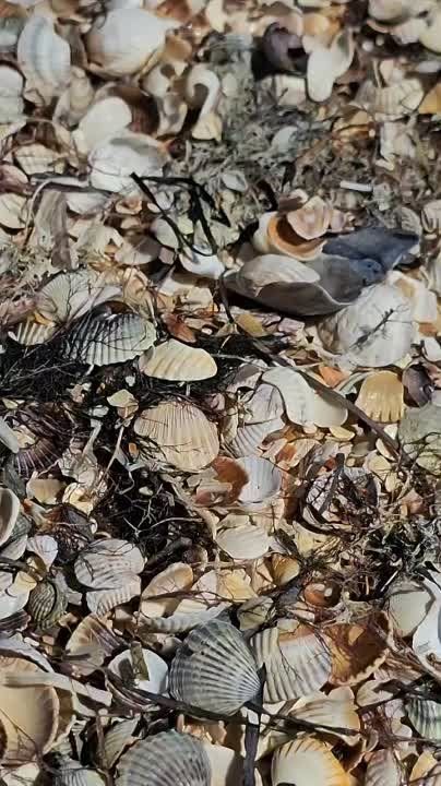 ������� �������: ��� ���� ������ � ����� ����� ����, �� �������� � ��� - ���������, ��������� � ���������