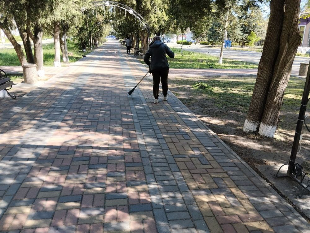 ��������������� ���������: ���������� ���� ��� �����������