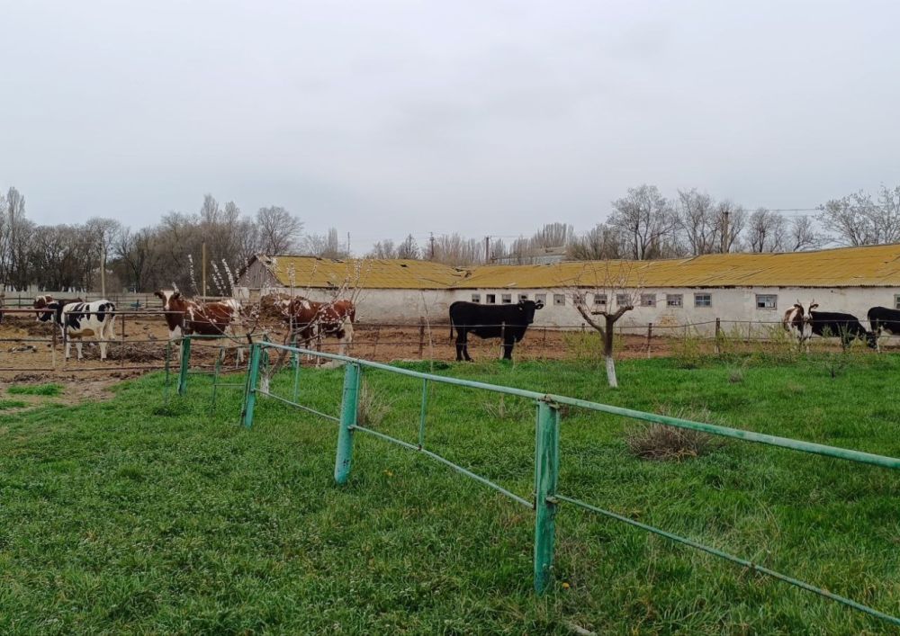 � ���������� ������� ���������������� ������ ��������� � ������������ �����������, ����������� ������� ������� ����