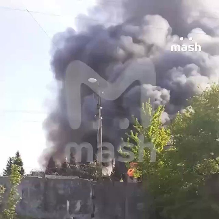  : 26        : 17    ,         