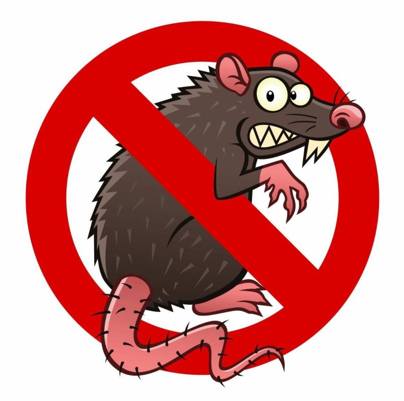 ����� ��������: �� ������� �����, ��� ������ ����� �������� ������ �� ������