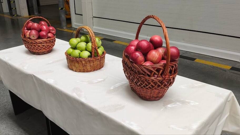 ������ �������� � ���� � ������ � 2025 ���� �������� 2,1 ��� ����