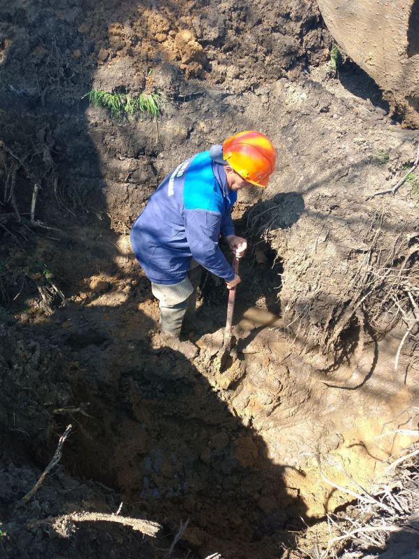 ����������� ����������������� ��� ���������� ������ �� ���������� ������� � ������������ ������� �������������