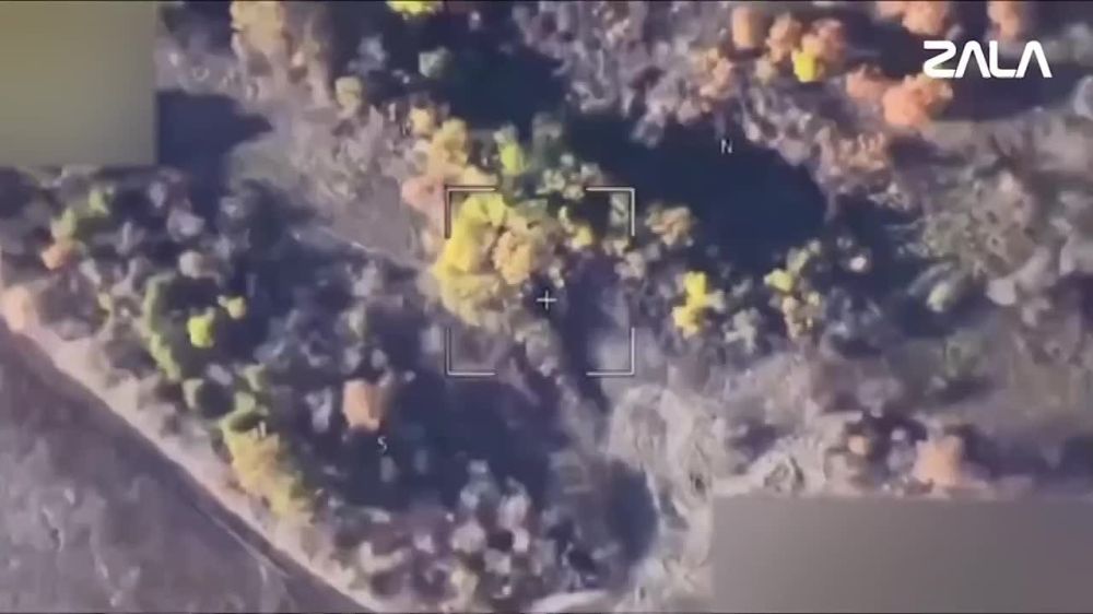 �������� ��������� ��� 2�22 "�������" ������ ���� "������"